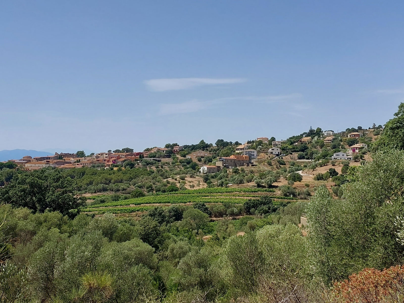 Vilamaniscle-vista_WEB
