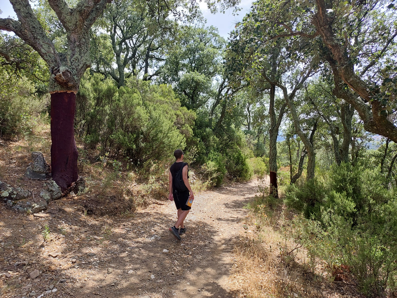 Vilamaniscle02_WEB