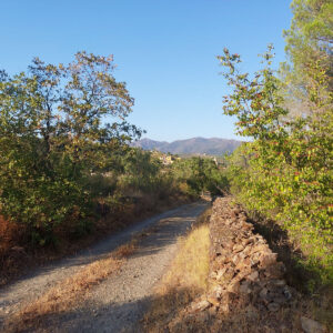 Ruta curta Rabós