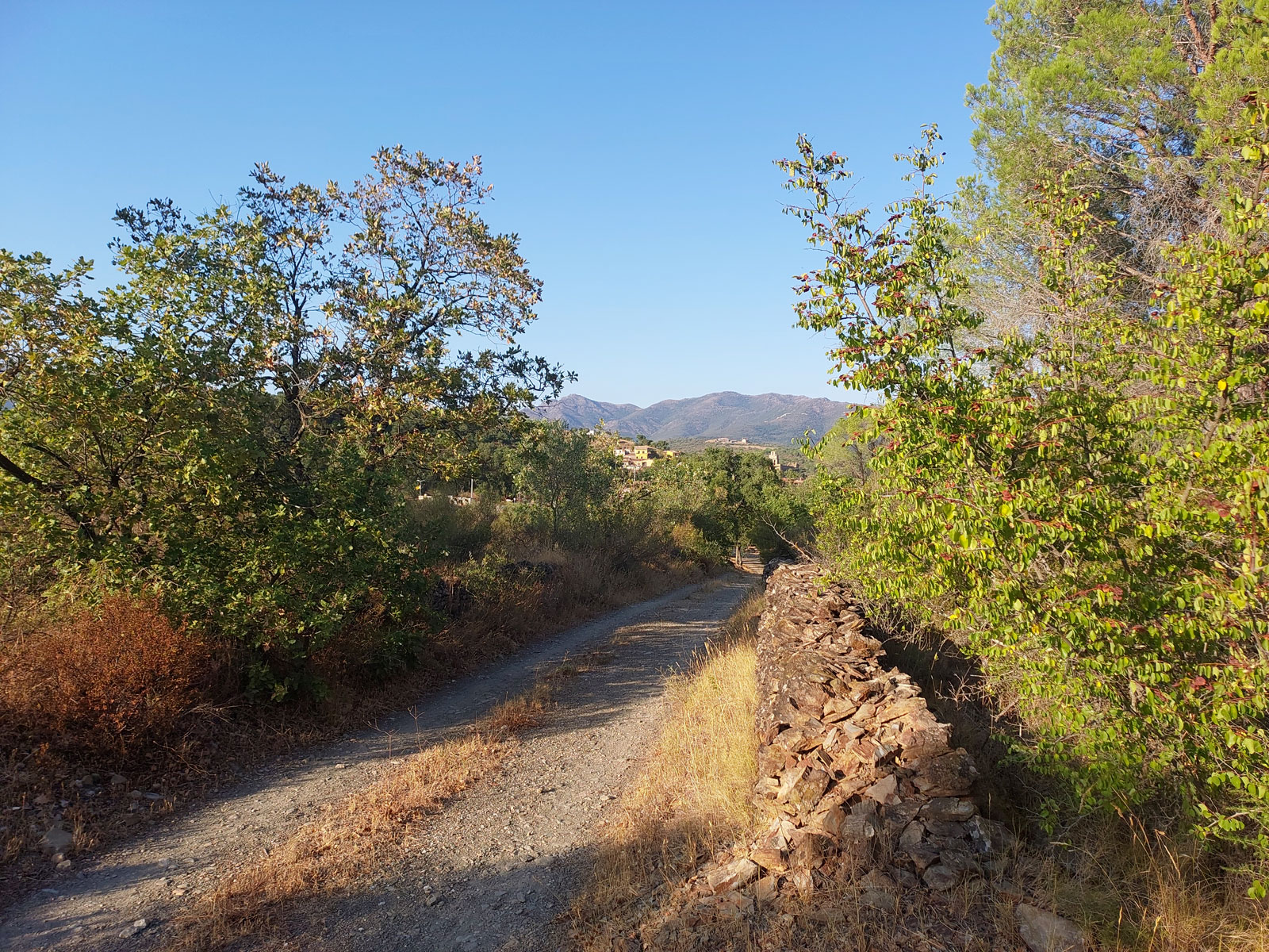 Rabos03_WEB